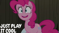 Size: 1280x720 | Tagged: safe, edit, edited screencap, editor:quoterific, screencap, pinkie pie, earth pony, pony, not asking for trouble, season 7, female, mare, open mouth, open smile, smiling, snow, solo, text