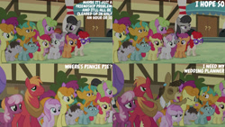 Size: 1280x720 | Tagged: safe, edit, edited screencap, editor:quoterific, screencap, apple bloom, big macintosh, button mash, carrot top, cheerilee, daisy, flower wishes, golden harvest, matilda, octavia melody, piña colada, scootaloo, snails, snips, sweetie belle, truffle shuffle, twist, donkey, earth pony, pegasus, pony, unicorn, g4, season 5, slice of life (episode), apple bloom's bow, bow, colt, cutie mark crusaders, eyes closed, female, filly, foal, hair bow, male, mare, open mouth, spread wings, stallion, text, wings