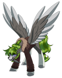 Size: 1920x2403 | Tagged: safe, artist:purplegrim40, oc, oc only, pegasus, pony, clothes, colored hooves, colored wings, male, mouth hold, pegasus oc, simple background, solo, stallion, transparent background, two toned wings, wings