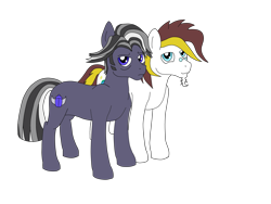 Size: 4128x3096 | Tagged: safe, artist:lennystendhal13, oc, oc only, oc:overlooked wonder, oc:stendhal, earth pony, pony, male, simple background, stallion, transparent background