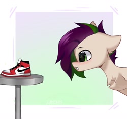 Size: 1280x1205 | Tagged: safe, artist:lunylin, oc, oc only, pony, blushing, chest fluff, clothes, nike, shoes, sneakers, solo, stare, wingding eyes
