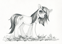Size: 1195x849 | Tagged: safe, artist:maytee, roseluck, earth pony, pony, g4, female, grayscale, looking at you, mare, monochrome, pencil drawing, smiling, smiling at you, solo, traditional art