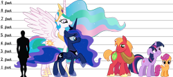Size: 1282x570 | Tagged: safe, artist:lunicaura106, big macintosh, princess celestia, princess luna, scootaloo, twilight sparkle, alicorn, earth pony, human, pony, unicorn, g4, crown, female, filly, floppy ears, foal, folded wings, grin, group, height, height difference, height scale, jewelry, male, mare, princess celestia is a horse, raised hoof, regalia, sextet, simple background, size chart, size comparison, size difference, small wings, smiling, spread wings, stallion, transparent background, unicorn twilight, vector, wings, wrong