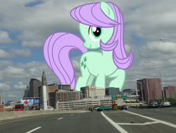 Size: 2592x1944 | Tagged: safe, artist:cheezedoodle96, artist:thegiantponyfan, edit, lilac swoop, earth pony, pony, g4, connecticut, female, friendship student, giant pony, giant/macro earth pony, giantess, hartford, high res, highrise ponies, irl, macro, mare, mega giant, photo, ponies in real life, solo