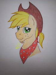 Size: 3096x4128 | Tagged: safe, artist:lennystendhal13, applejack, earth pony, pony, g4, applejack (male), bust, portrait, rule 63, solo, traditional art