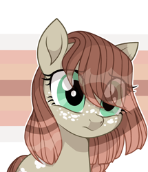 Size: 2292x2660 | Tagged: safe, artist:shore2020, oc, oc only, earth pony, pony, base used, female, freckles, high res, mare, movie accurate, solo