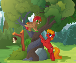 Size: 3190x2655 | Tagged: safe, artist:shore2020, oc, oc only, earth pony, pegasus, pony, base used, bird house, duo, earth pony oc, high res, intertwined trees, male, pegasus oc, stallion, tree
