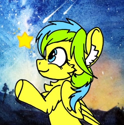 Size: 1899x1920 | Tagged: safe, artist:rainbowwing, oc, oc:nature guard, chest fluff, ear fluff, smiling, stars