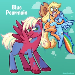 Size: 2048x2048 | Tagged: safe, artist:zigzarachi, applejack, rainbow dash, oc, oc:blue pearmain, earth pony, pegasus, pony, g4, coat markings, female, high res, lesbian, magical lesbian spawn, offspring, parent:applejack, parent:rainbow dash, parents:appledash, ship:appledash, shipping