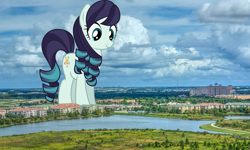 Size: 1920x1151 | Tagged: safe, artist:jhayarr23, artist:thegiantponyfan, coloratura, earth pony, pony, g4, female, florida, giant pony, giant/macro earth pony, giantess, highrise ponies, irl, macro, mare, mega giant, orlando, photo, ponies in real life