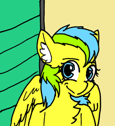 Size: 1940x2116 | Tagged: safe, artist:rainbowwing, oc, oc only, oc:nature guard, pegasus, pony, chest fluff, ear fluff, looking at you, smiling, smiling at you, solo, translation request