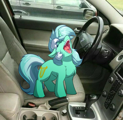 Size: 4000x3885 | Tagged: safe, artist:witchtaunter, lyra heartstrings, pony, unicorn, g4, aaaaaaaaaa, car, car interior, chest fluff, ear fluff, faic, female, floppy ears, irl, l.u.l.s., mare, meme, photo, ponies in real life, ponified animal photo, ponified meme, reference in the comments, screaming, solo, standing, teeth, yelling
