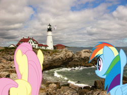 Size: 3264x2448 | Tagged: safe, artist:dashiesparkle, artist:mlplover94, artist:mundschenk85, blossomforth, fluttershy, rainbow dash, pegasus, pony, g4, cape elizabeth, female, high res, irl, lighthouse, maine, mare, photo, ponies in real life
