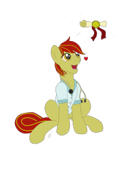 Size: 3096x4128 | Tagged: safe, artist:lennystendhal13, oc, oc:boozey, earth pony, pony, clothes, diploma, male, shirt, simple background, solo, stallion, transparent background