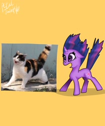 Size: 1714x2048 | Tagged: safe, artist:petaltwinkle, twilight sparkle, cat, pony, unicorn, g4, behaving like a cat, female, floppy ears, horn, mare, open mouth, ponified animal photo, simple background, solo, twilight cat, unicorn twilight, yellow background