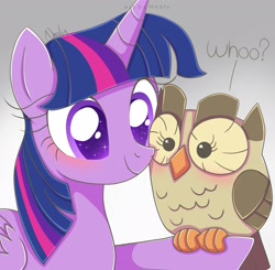 Size: 2000x1961 | Tagged: safe, artist:nnaly, owlowiscious, twilight sparkle, alicorn, bird, owl, pony, g4, awwlowiscious, blushing, colored pupils, cute, duo, female, gray background, mare, outstretched hoof, signature, simple background, smiling, sparkly eyes, starry eyes, twiabetes, twilight sparkle (alicorn), wingding eyes