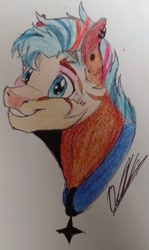 Size: 611x1024 | Tagged: safe, artist:discbreaker100, oc, oc only, oc:estrella, hybrid, zony, bust, excited, eyebrows, grin, male, signature, smiling, solo, stallion, traditional art