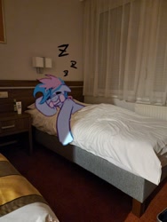 Size: 1536x2048 | Tagged: safe, artist:maren, oc, oc only, oc:blue chewings, earth pony, pony, bed, chew toy, hotel room, irl, mouth hold, onomatopoeia, photo, ponies in real life, sleeping, solo, sound effects, zzz