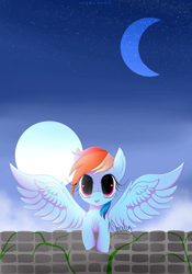 Size: 4000x5716 | Tagged: safe, artist:nnaly, rainbow dash, pegasus, pony, g4, absurd resolution, leaning, looking at you, sky, solo, spread wings, starry eyes, wingding eyes, wings