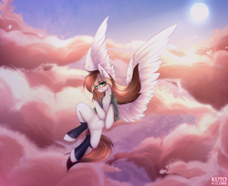 Size: 2500x2040 | Tagged: safe, artist:kutoshi, oc, oc only, pegasus, pony, female, high res, mare, solo