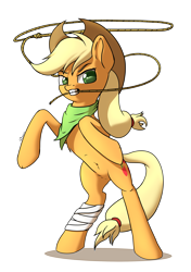 Size: 3035x4299 | Tagged: safe, artist:playful wings, applejack, earth pony, pony, g4, applejack's hat, bandage, bipedal, cowboy hat, hat, lasso, mouth hold, neckerchief, rearing, rope, simple background, solo, transparent background