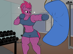 Size: 1605x1203 | Tagged: safe, artist:astrum, artist:calm wind, artist:matchstickman, edit, tempest shadow, unicorn, anthro, g4, 1000 years in photoshop, abs, boxing, boxing gloves, clothes, gym, gym shorts, muscles, punch, punching bag, sports, sports bra, sweat, temple shadow, training, workout, workout outfit