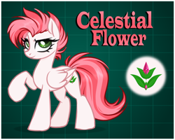 Size: 3000x2400 | Tagged: safe, artist:kannakiller, oc, oc only, oc:celestial flower, pegasus, pony, digital art, female, high res, mare, pegasus oc, reference, reference sheet, sketch, solo, wings