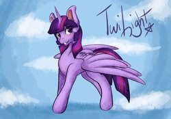 Size: 2048x1423 | Tagged: safe, artist:mscolorsplash, twilight sparkle, alicorn, pony, g4, eye clipping through hair, eyebrows, eyebrows visible through hair, female, grin, looking at you, mare, name, smiling, smiling at you, solo, twilight sparkle (alicorn)
