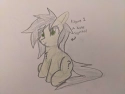 Size: 2016x1512 | Tagged: safe, artist:neuro, oc, oc only, oc:filly anon, earth pony, pony, arrow, chest fluff, female, filly, foal, sitting, smiling, solo, text, traditional art
