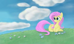 Size: 1280x768 | Tagged: safe, artist:kalivian, fluttershy, pegasus, pony, g4, chest fluff, cloud, female, flower, folded wings, grass, lying down, mare, outdoors, prone, sky, smiling, solo, turned head, wings