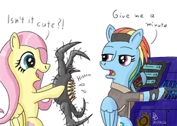 Size: 1200x849 | Tagged: safe, artist:darkdabula, fluttershy, rainbow dash, headcrab, pegasus, poison headcrab, pony, g4, atg 2022, clothes, combine, crossover, dialogue, duo, female, folded wings, half-life, half-life: alyx, jacket, mare, newbie artist training grounds, simple background, white background, wings