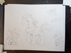 Size: 2048x1536 | Tagged: safe, artist:mellodillo, apple bloom, big macintosh, spike, sweetie belle, dragon, earth pony, pony, unicorn, g4, female, filly, foal, grayscale, male, monochrome, pencil drawing, stallion, traditional art