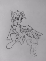 Size: 2296x3056 | Tagged: safe, artist:hornmlp, pegasus, pony, chest fluff, equal cutie mark, high res, solo, traditional art