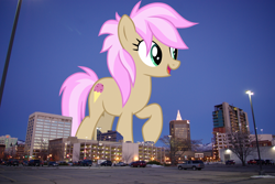 Size: 1920x1285 | Tagged: safe, artist:frownfactory, artist:thegiantponyfan, strawberry scoop, earth pony, pony, boise, female, friendship student, giant pony, giant/macro earth pony, giantess, highrise ponies, idaho, irl, macro, mare, mega giant, open mouth, photo, ponies in real life, raised hoof, smiling, solo