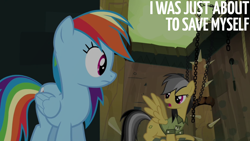 Size: 1920x1080 | Tagged: safe, edit, edited screencap, editor:quoterific, screencap, daring do, rainbow dash, pegasus, pony, daring don't, g4, season 4, duo, female, mare, open mouth, spread wings, text, wings