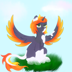 Size: 3000x3000 | Tagged: safe, artist:melody joy, oc, oc only, alicorn, pony, alicorn oc, female, grass, high res, horn, looking at you, simple background, sitting, spots, spread wings, wings