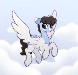 Size: 1711x1651 | Tagged: safe, artist:_alixxie_, oc, pegasus, pony, male, solo, stallion