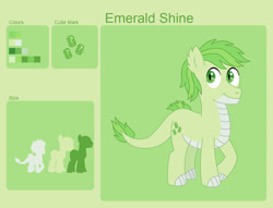 Size: 1280x980 | Tagged: safe, artist:miss-barker, oc, oc only, oc:emerald shine, dracony, hybrid, colt, foal, interspecies offspring, male, offspring, parent:rarity, parent:spike, parents:sparity, reference sheet, solo