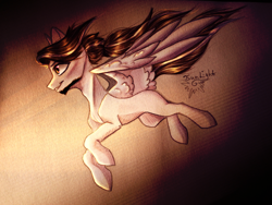 Size: 4160x3120 | Tagged: safe, artist:jsunlight, oc, pegasus, pony, absurd file size, beard, facial hair, solo