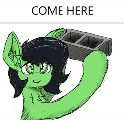 Size: 1596x1548 | Tagged: safe, artist:reddthebat, oc, oc only, oc:filly anon, earth pony, pony, cinder block, cinderblock meme, earth pony oc, female, filly, simple background, smiling, solo, white background