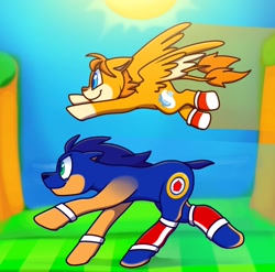 Size: 2048x2023 | Tagged: safe, artist:cloudthecat3, earth pony, pegasus, pony, duo, flying, high res, male, miles "tails" prower, ponified, running, sonic the hedgehog, sonic the hedgehog (series), stallion