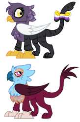 Size: 1280x1968 | Tagged: safe, artist:dilfistic, oc, oc only, griffon, chest fluff, duo, griffon oc, simple background, transparent background, wings