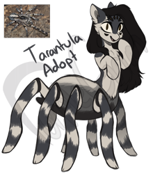 Size: 1142x1300 | Tagged: safe, artist:purplegrim40, oc, oc only, monster pony, original species, pony, spiderpony, tarantula, ear fluff, simple background, smiling, transparent background