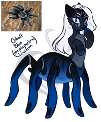Size: 1351x1634 | Tagged: safe, artist:purplegrim40, oc, oc only, monster pony, original species, pony, spiderpony, tarantula, simple background, transparent background