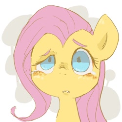 Size: 800x800 | Tagged: safe, artist:um89s, artist:ume89s, fluttershy, pony, g4, bust, female, mare, simple background, solo, teary eyes, white background
