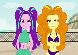 Size: 444x314 | Tagged: safe, artist:niban-destikim, adagio dazzle, aria blaze, human, equestria girls, g4, beach, belly button, bikini, clothes, duo, duo female, female, ripped pants (spongebob episode), swimsuit, volleyball net