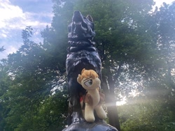 Size: 4032x3024 | Tagged: safe, artist:little-broy-peep, braeburn, earth pony, pony, g4, balto, balto statue, central park, clothes, irl, missing accessory, new york city, photo, plushie, sunset, tree, vest