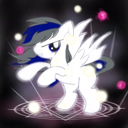 Size: 2048x2048 | Tagged: safe, artist:tiga mega, artist:tiga52080175, oc, oc only, pegasus, pony, black background, high res, looking at you, simple background, solo, spread wings, wings
