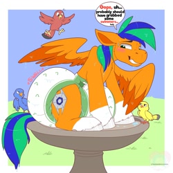 Size: 2000x2000 | Tagged: safe, artist:tenderhoofed, oc, oc only, oc:naarkerotics, bird, pegasus, pony, annoyed, bird bath, blushing, diaper, diaper fetish, diapered, fetish, high res, male, non-baby in diaper, poofy diaper, solo, stallion, wet diaper