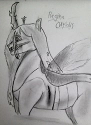 Size: 683x937 | Tagged: safe, artist:alostcarolean, queen chrysalis, changeling, g4, blood, fangs, grin, injured, latin, monochrome, smiling, solo, traditional art